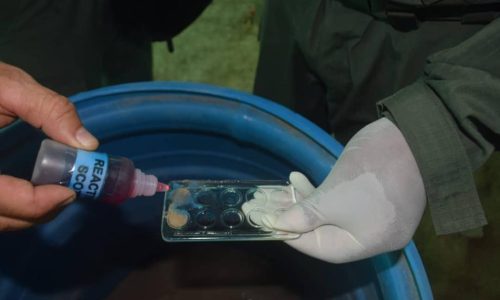 95ba3edd-2fdb-4703-a8ea-4a33cc2072e7-1 95ba3edd-2fdb-4703-a8ea-4a33cc2072e7-1